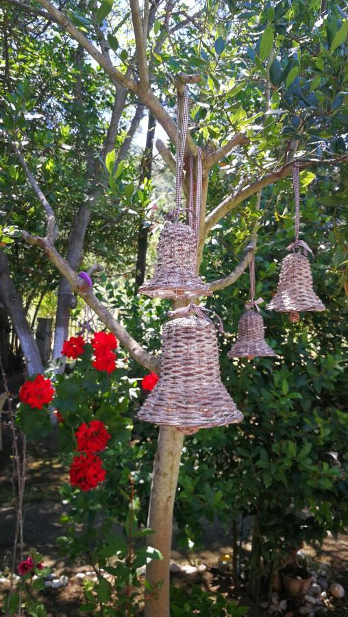 Garden Bungalow Valentina Stavros  Zewnętrze zdjęcie