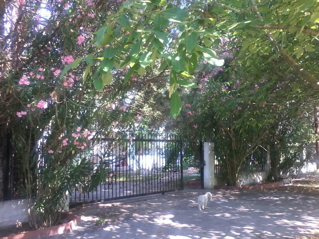 Garden Bungalow Valentina Stavros  Zewnętrze zdjęcie