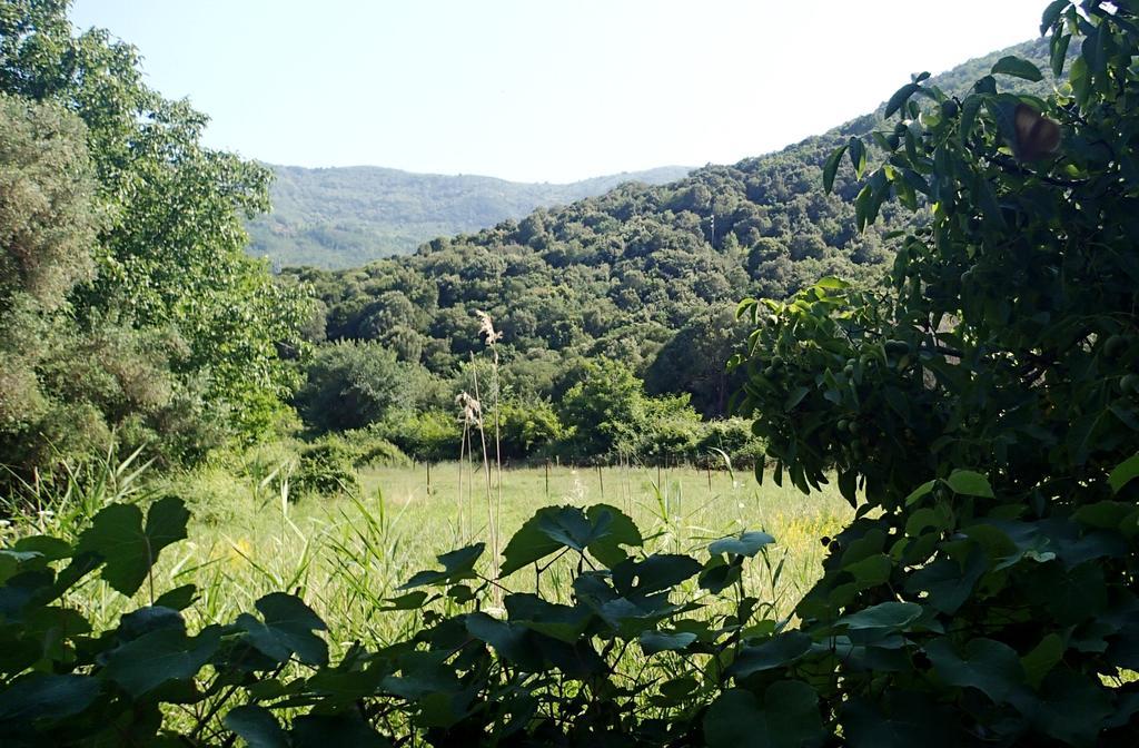 Garden Bungalow Valentina Stavros  Zewnętrze zdjęcie